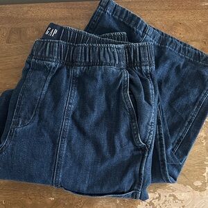 GAP Dark Blue Denim Pants